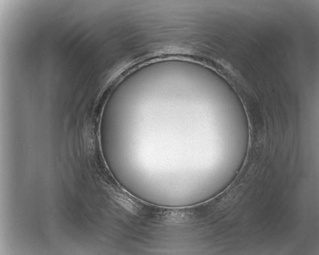 X0000060801266200511171232