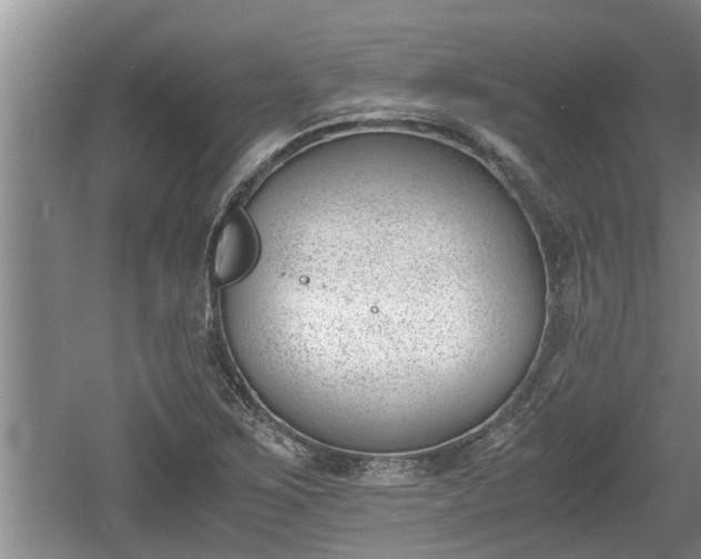 X0000060801267200511171232