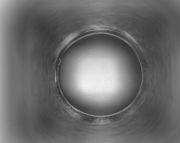 X0000060801269200511171232