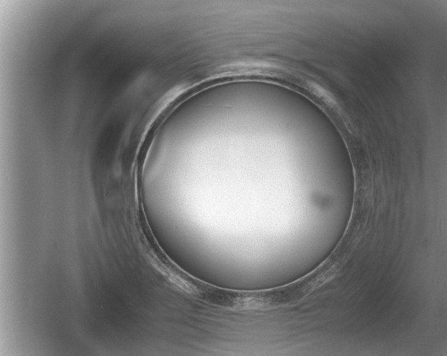 X0000060801275200511171232