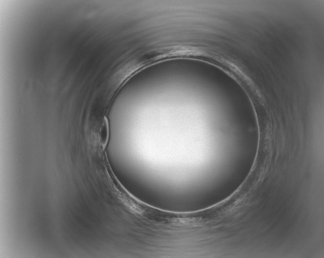 X0000060801281200511171232