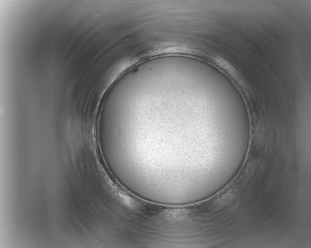 X0000060801282200511171232