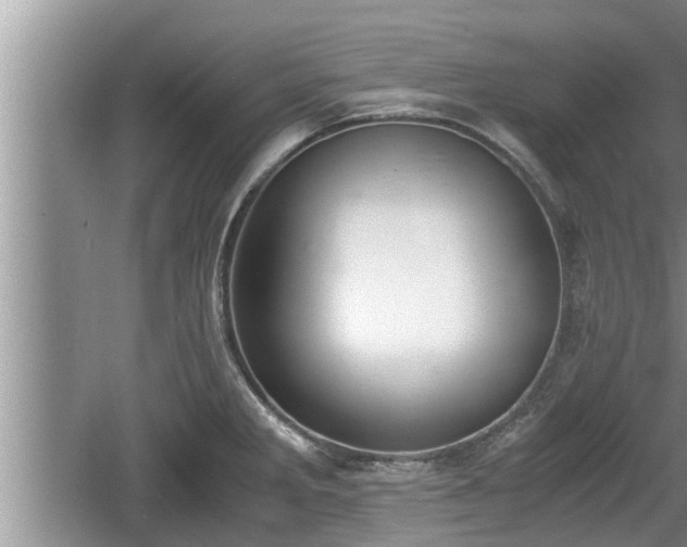 X0000060801285200511171232