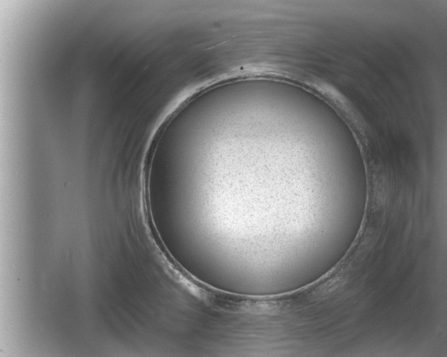 X0000060801286200511171232