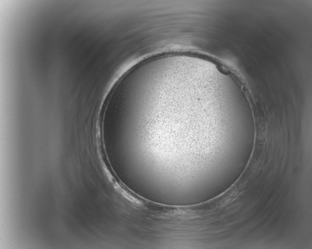 X0000060801287200511171232