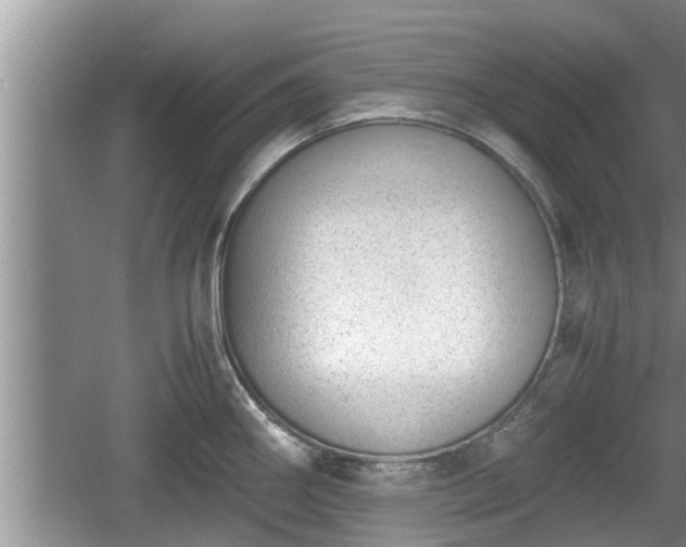 X0000060801290200511171232