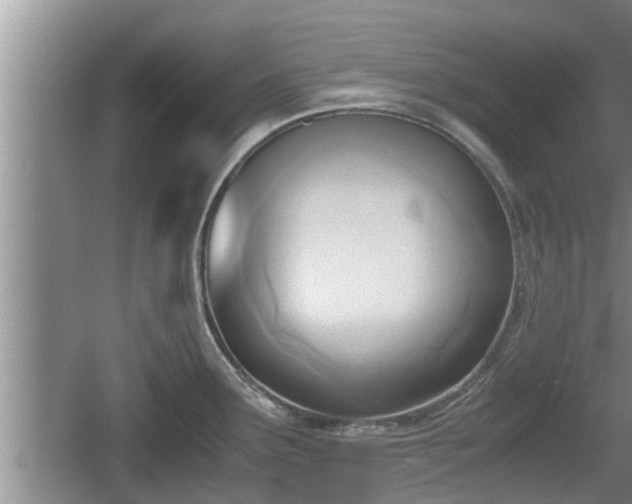 X0000060801291200511171232