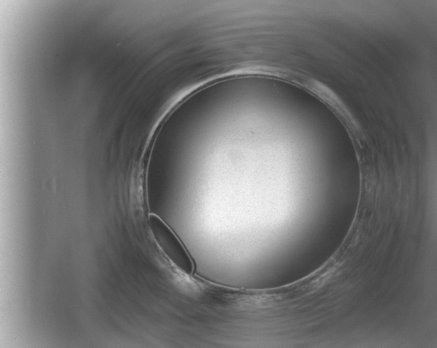 X0000060801292200511171232