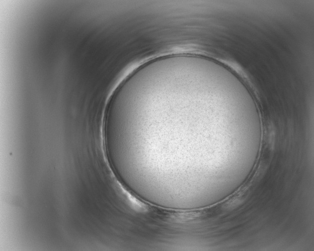 X0000060801294200511171232