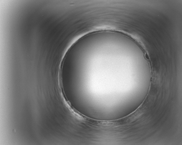 X0000060801295200511171232