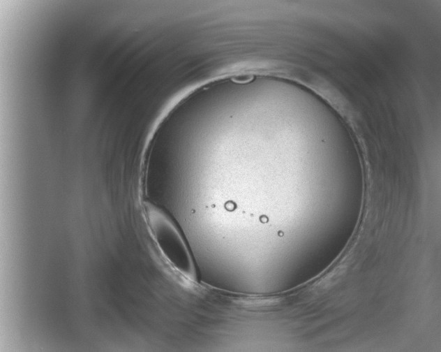 X0000060801296200511171232