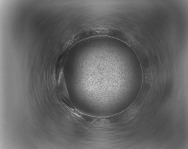 X0000060801298200511171231