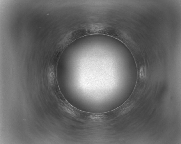 X0000060801299200511171231