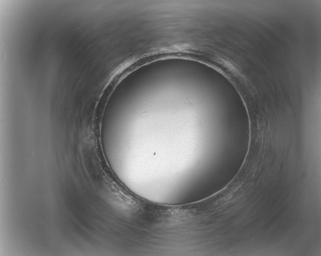 X0000060801308200511171231