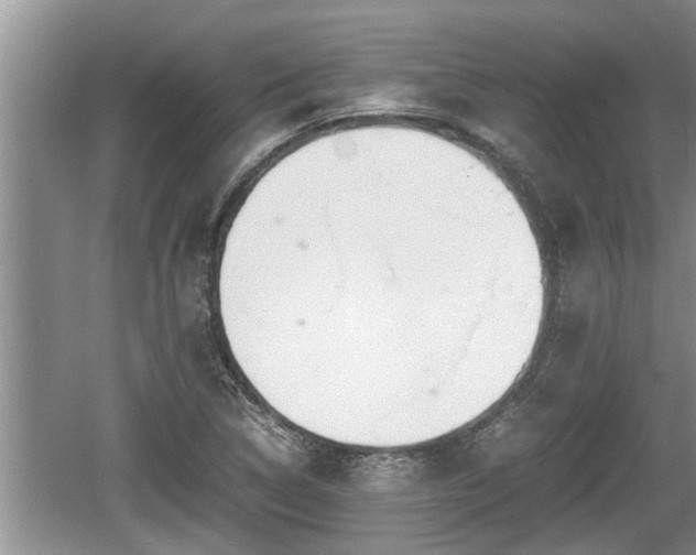 X0000060801314200511171231