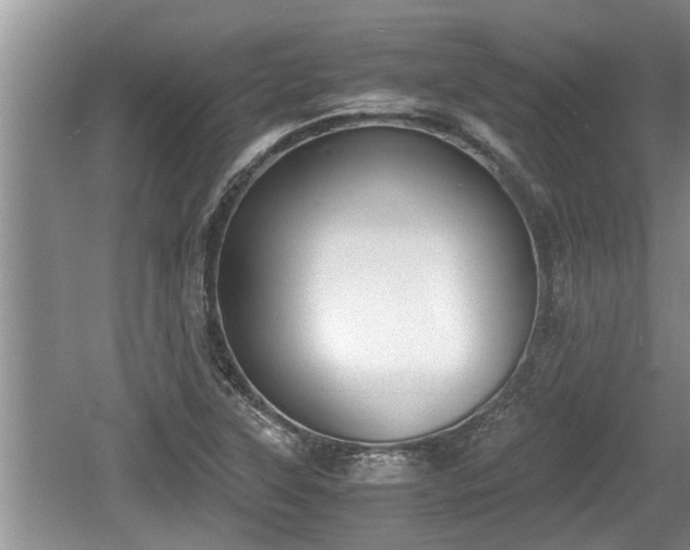 X0000060801315200511171231