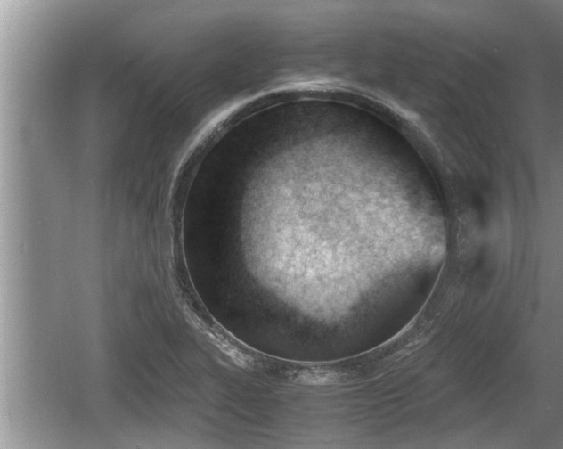 X0000060801319200511171231