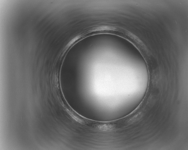 X0000060801321200511171231