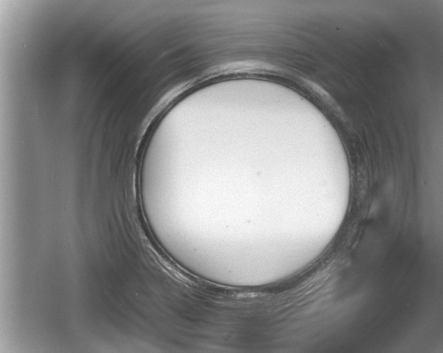 X0000060801322200511171231