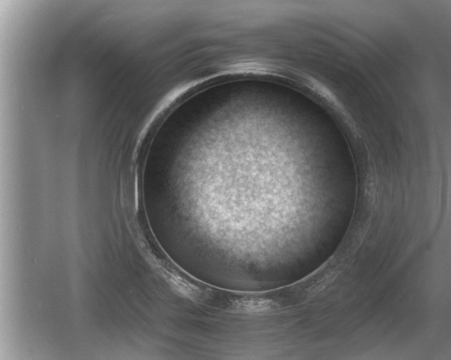 X0000060801323200511171231