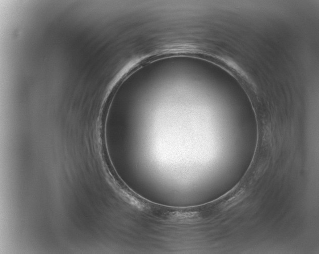 X0000060801325200511171231