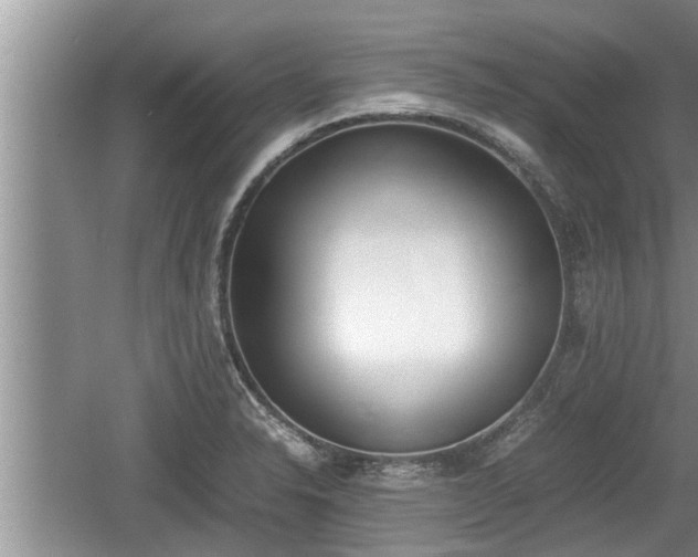 X0000060801326200511171231