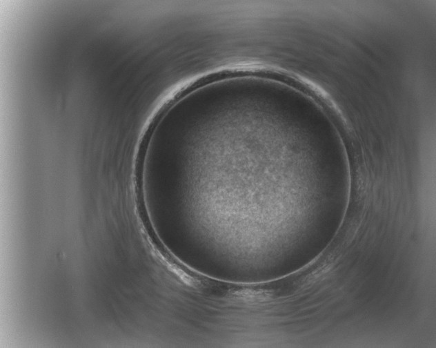 X0000060801327200511171231