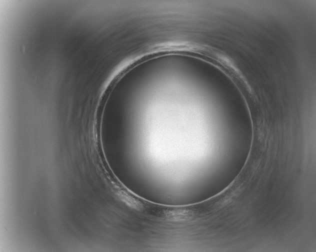 X0000060801328200511171231