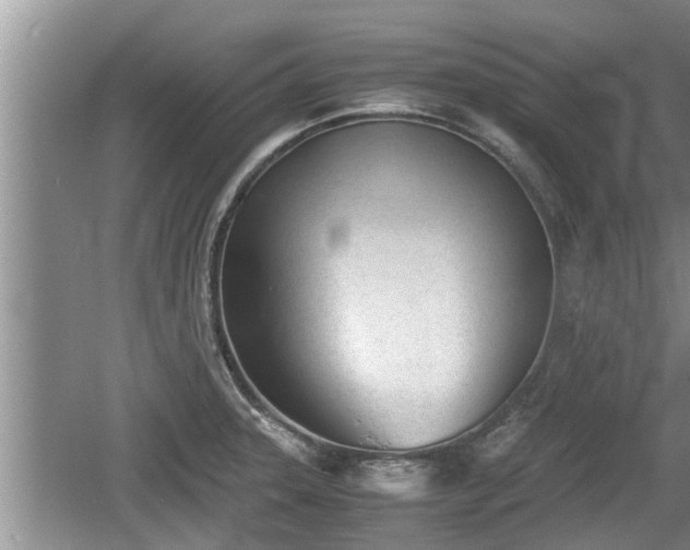 X0000060801331200511171231