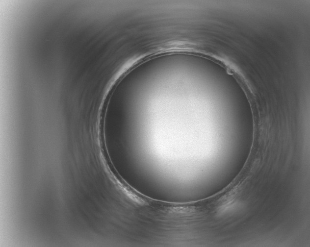 X0000060801333200511171231