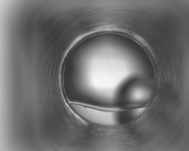 X0000060801334200511171231