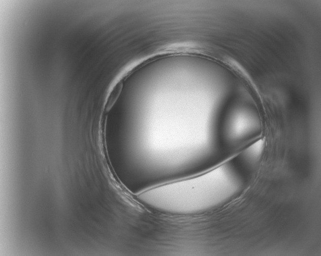 X0000060801336200511171231