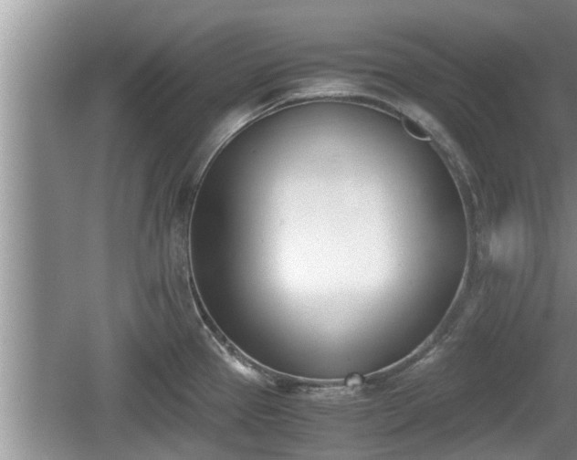 X0000060801337200511171231