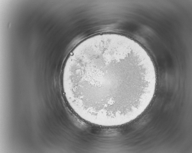 X0000060801338200511171232