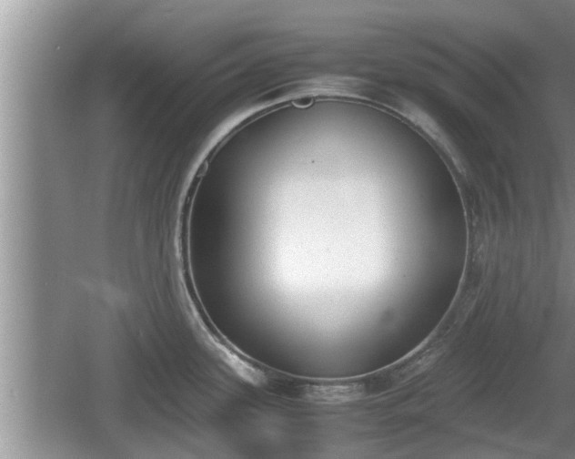 X0000060801339200511171232