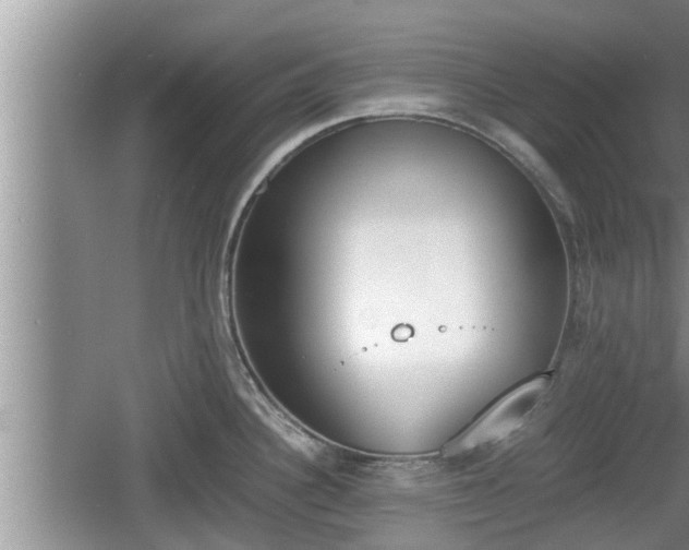 X0000060801340200511171232