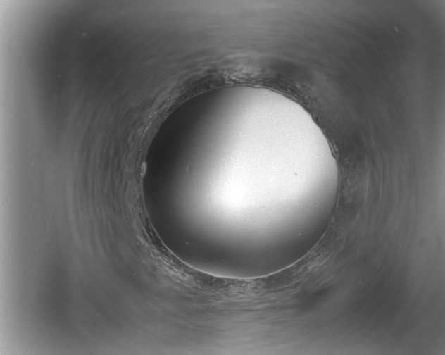 X0000060801345200511171231