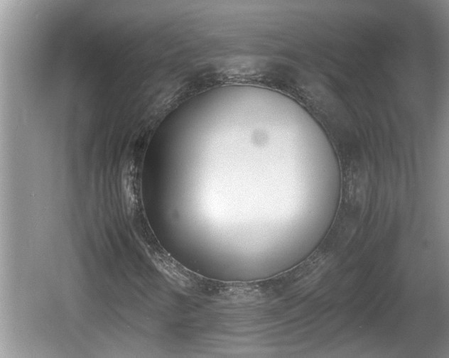 X0000060801346200511171231