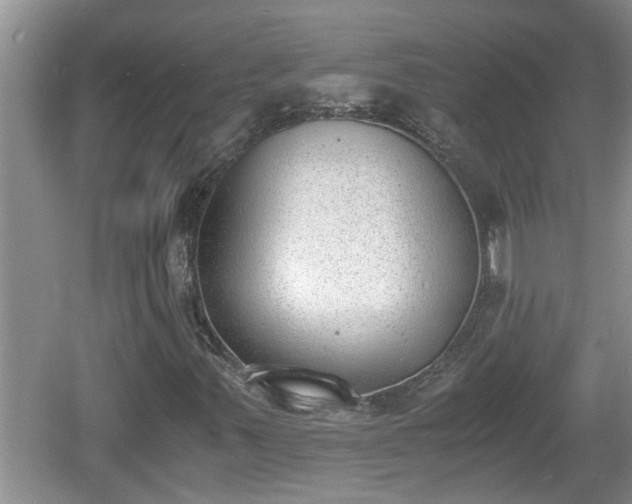 X0000060801347200511171231