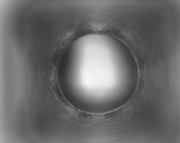 X0000060801349200511171231