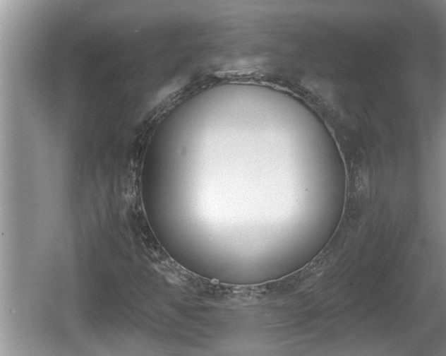 X0000060801350200511171231