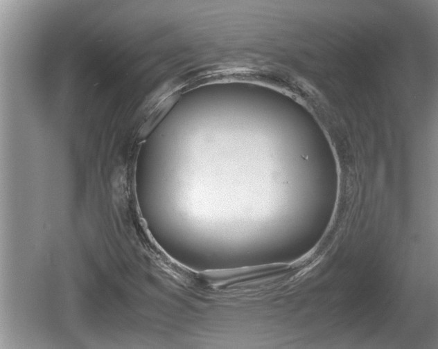 X0000060801353200511171231