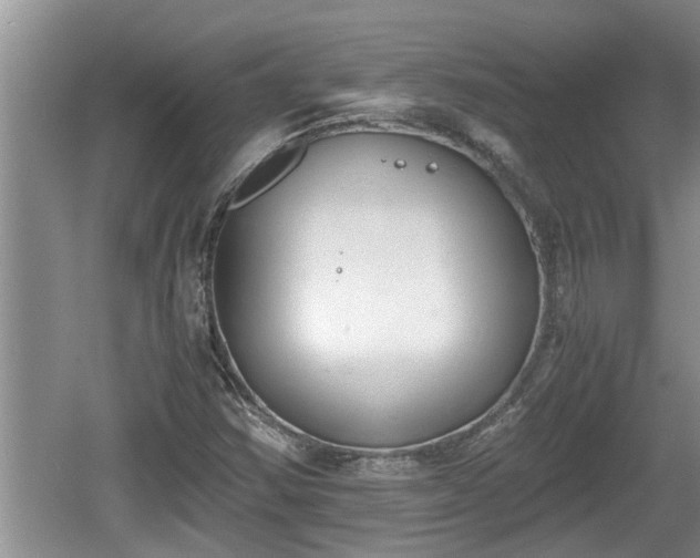 X0000060801354200511171231