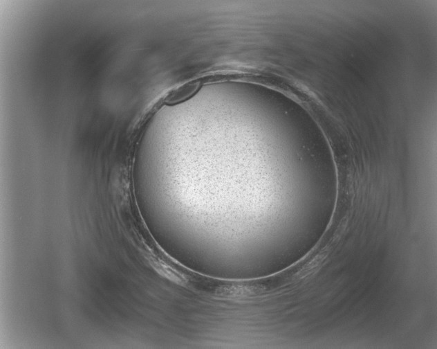 X0000060801355200511171231