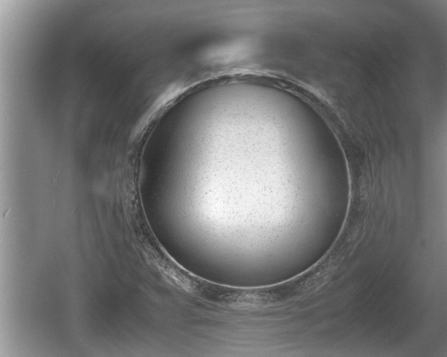 X0000060801359200511171231