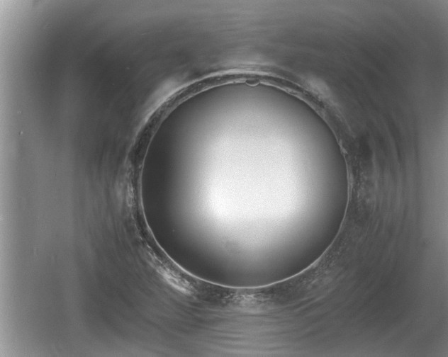 X0000060801360200511171231