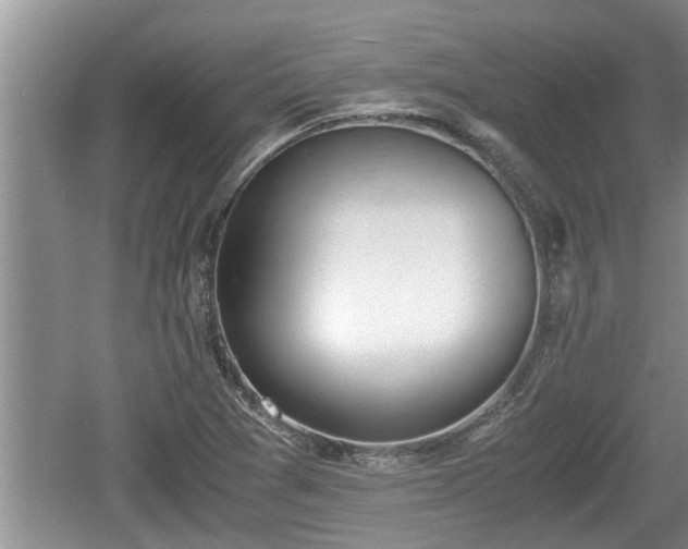 X0000060801361200511171231