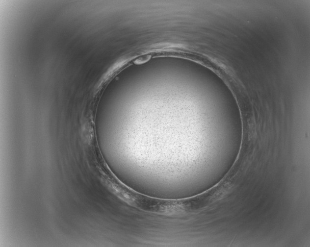 X0000060801363200511171230