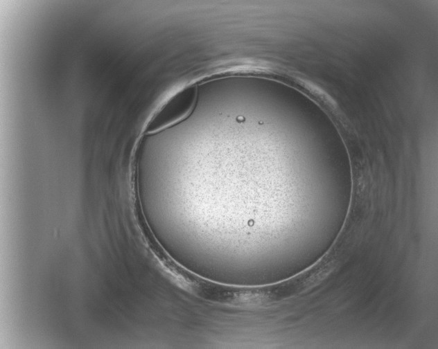 X0000060801375200511171230