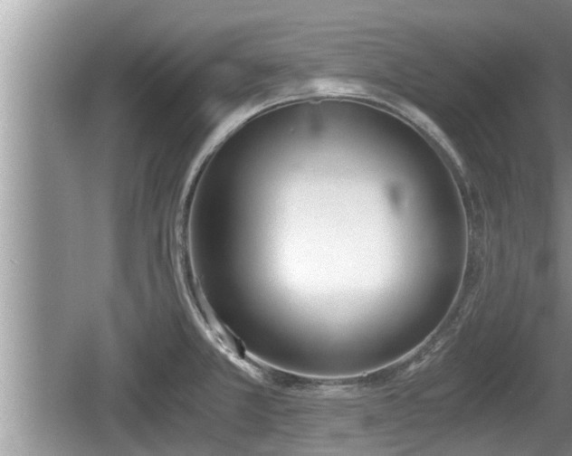 X0000060801381200511171230